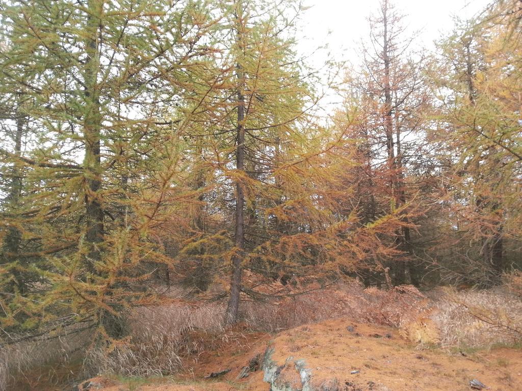 Sneznik Hotel Buitenkant foto